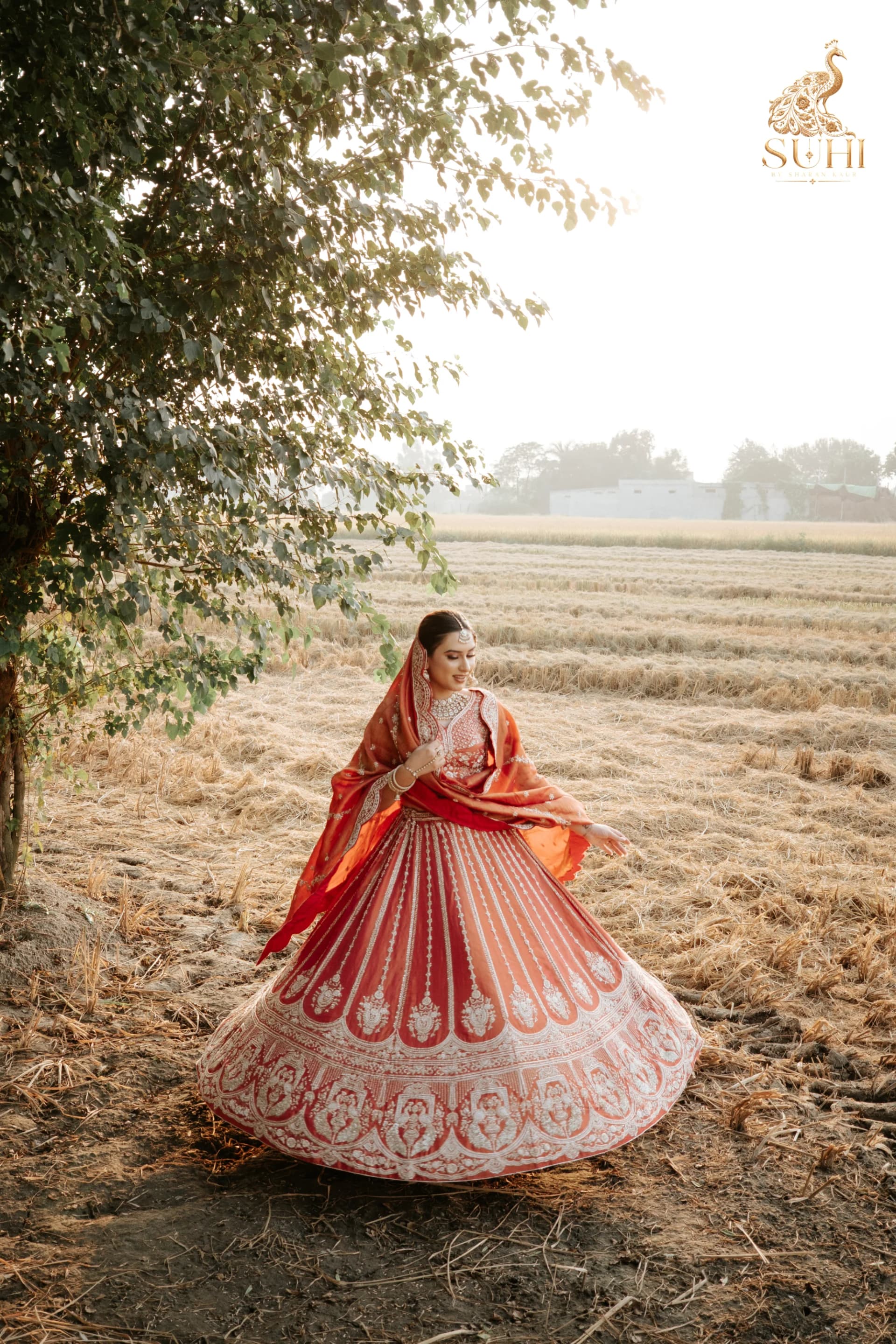Gracefully draped bridal veil with fine golden borders